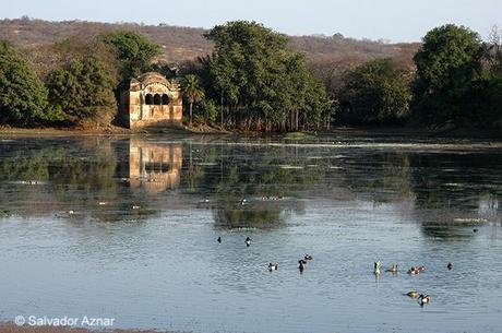 Parque Nacional de Ranthambhore