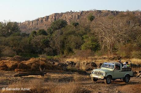 Parque Nacional de Ranthambhore