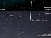 Zoco Astronomía: brillante cometa Lovejoy