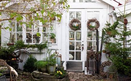 Comida en el Cobertizo.