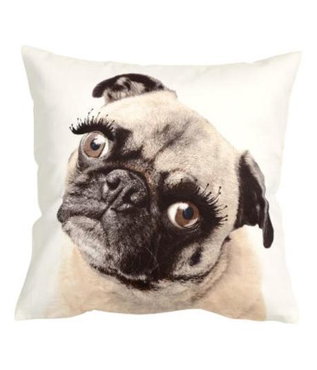 No sin mi mascota hmprod (8)