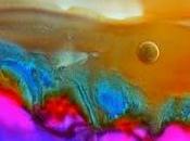 CONVOCATORIA Arte Mundo"