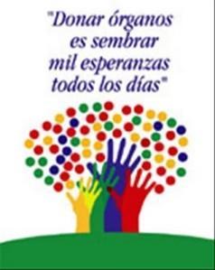 donacion-de-organos.jpg