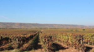 De ruta por Navarra + la Rioja Alavesa (4 días)