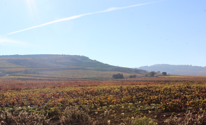 De ruta por Navarra + la Rioja Alavesa (4 días)