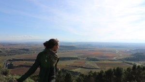 De ruta por Navarra + la Rioja Alavesa (4 días)