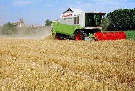 La PAC 2014-2020: Jóvenes Agricultores