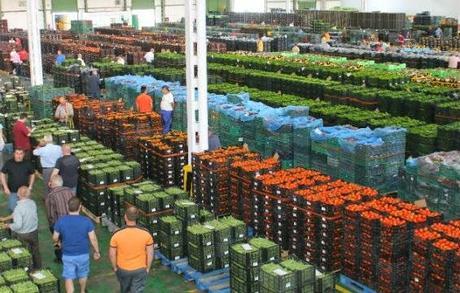 La PAC: Introducción en la PAC 2014-2020