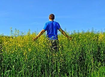 La PAC: Introducción en la PAC 2014-2020