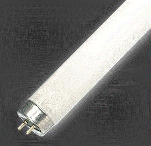 El cuarto estado de la materia: Plasma