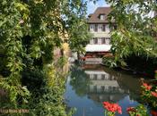 Colmar, Eguisheim Riquewihr, tres pueblos franceses rebonitos parecen alemanes