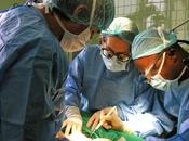 Logran trasplantar órganos recién nacido