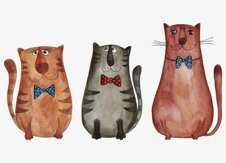 LA PARADOJA DEL GATO