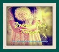 Va de premios: Premio Best Blogger Y One lovely blog Adward