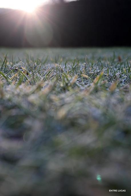 Con la I: Invierno