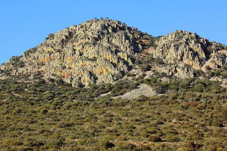 Ciervos, buitres y águilas | Por la Sierra del Relumbrar