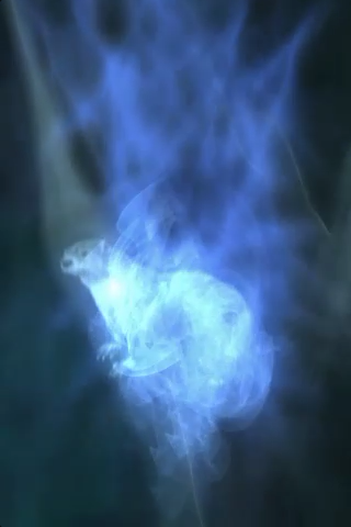 Booktag: HARRY POTTER