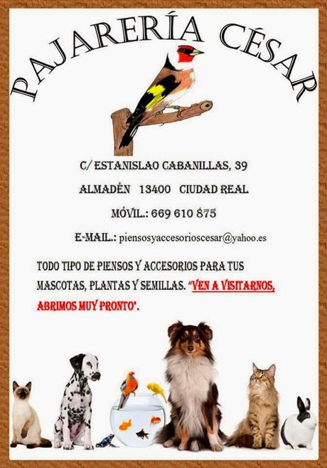 Abre nueva empresa en Almadén