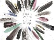 idea salvaje, nuevo trabajo Carlos Sadness