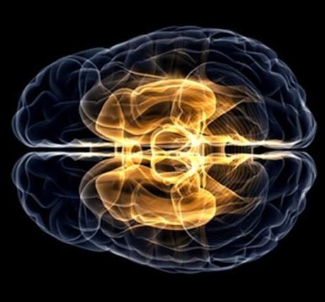 Aceite sintético podría ayudar  pacientes con enfermedad de Huntington