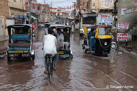 En ruta desde Jaipur a Bikaner