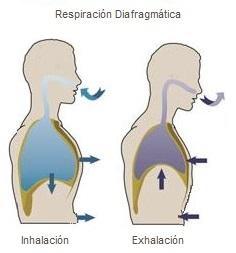 respiracion diafragmatica