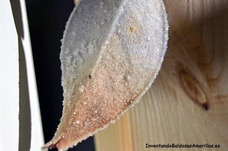 Inventando el Finde 9: efecto cristalizado