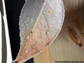 Inventando Finde efecto cristalizado