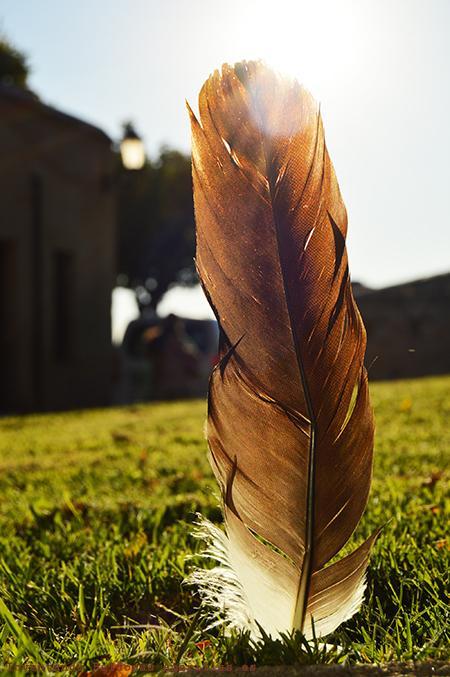 Inventando el Finde Inventando el Finde