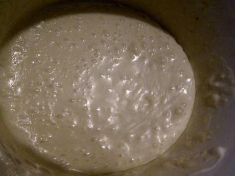 Endivias con salsa de yogur, gorgonzola y nueces. (#ColorYSabor) Endivias-con-salsa-de-yogur-gorgonzola-y-nueces-