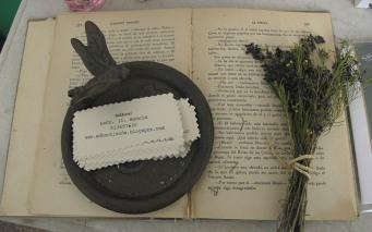 adhoc08 AdHoc: donde darte todos los caprichos