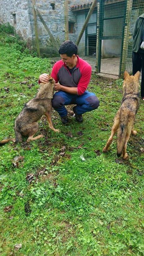 Mariconeando* con lobos