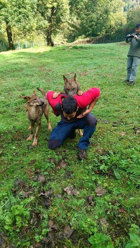 Mariconeando* con lobos