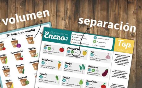 Planificar el huerto