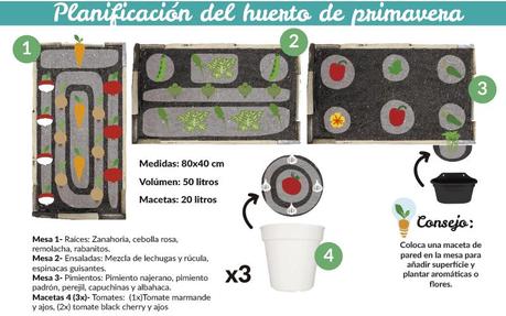 planificar el huerto