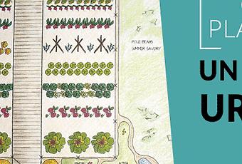 Cómo planificar el huerto - Paperblog