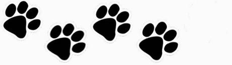 [Reseña] Wild Boy: el chico salvaje - Rod Lloyd Jones