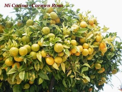 SOPA CACHORRECHA SOPA CACHORRECHA