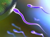 Producción óvulos esperma partir células madre