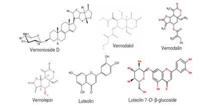 Estructura química de algunos fitocompuestos de V  amygdalina (créditos Ijeh and Ejike 2011)