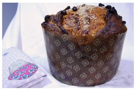Panettone con masa madre sólida