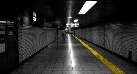 Reglas y límites que te simpflician la vida guia linea