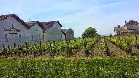 Enoturismo para el relax