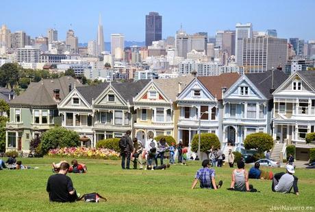 Painted ladies