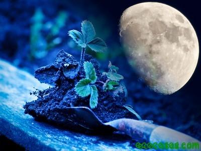 Agricultura lunar