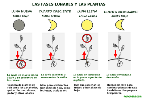 Agricultura lunar