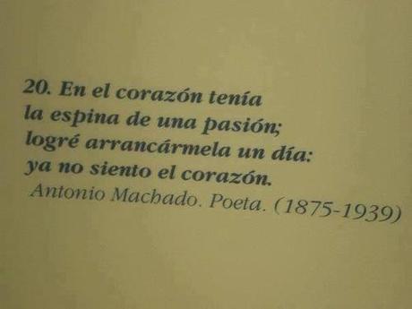 #Tag Los Derechos del Lector