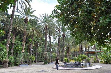 look: con mi nuevo bolso para la reflex