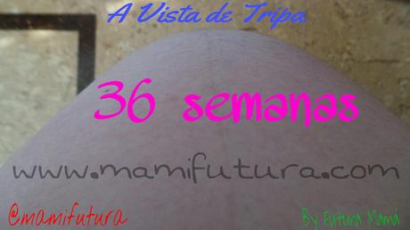 A Vista de Tripa XXXII