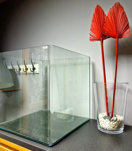 MI VIDA Y LOS ACUARIOS...